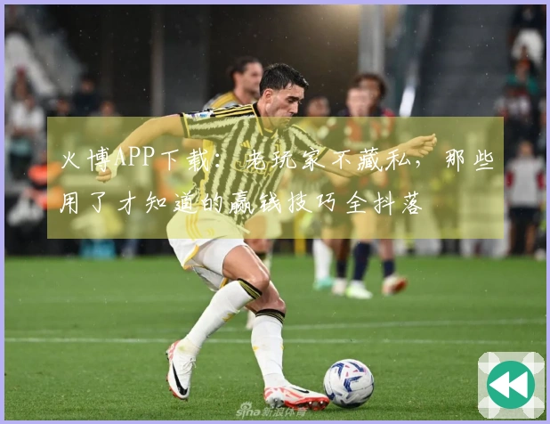 火博APP下载：老玩家不藏私，那些用了才知道的赢钱技巧全抖落